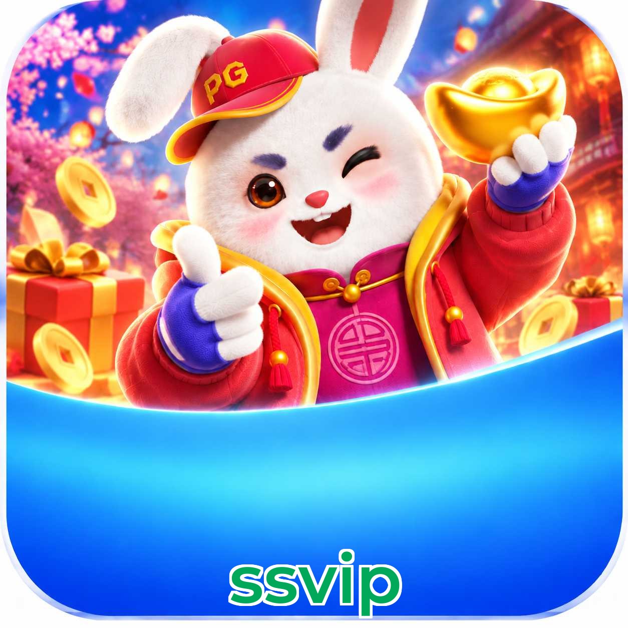 ssvip FAQ