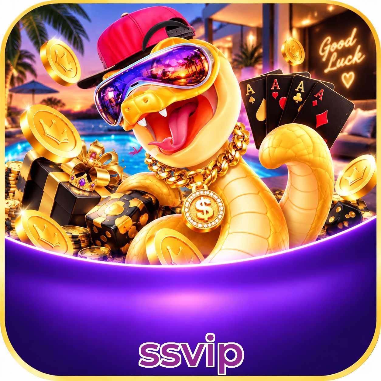 ssvip Plataforma FAQ
