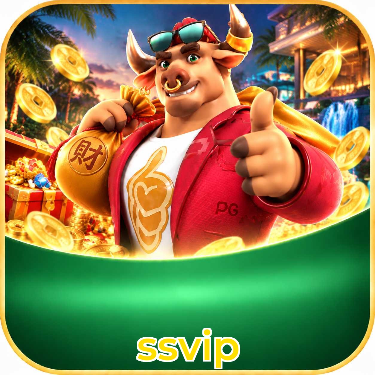 ssvip App FAQ
