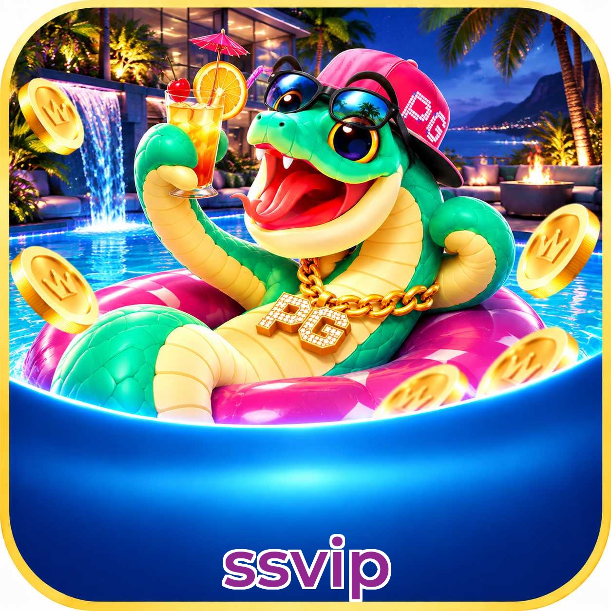ssvip App vs Web