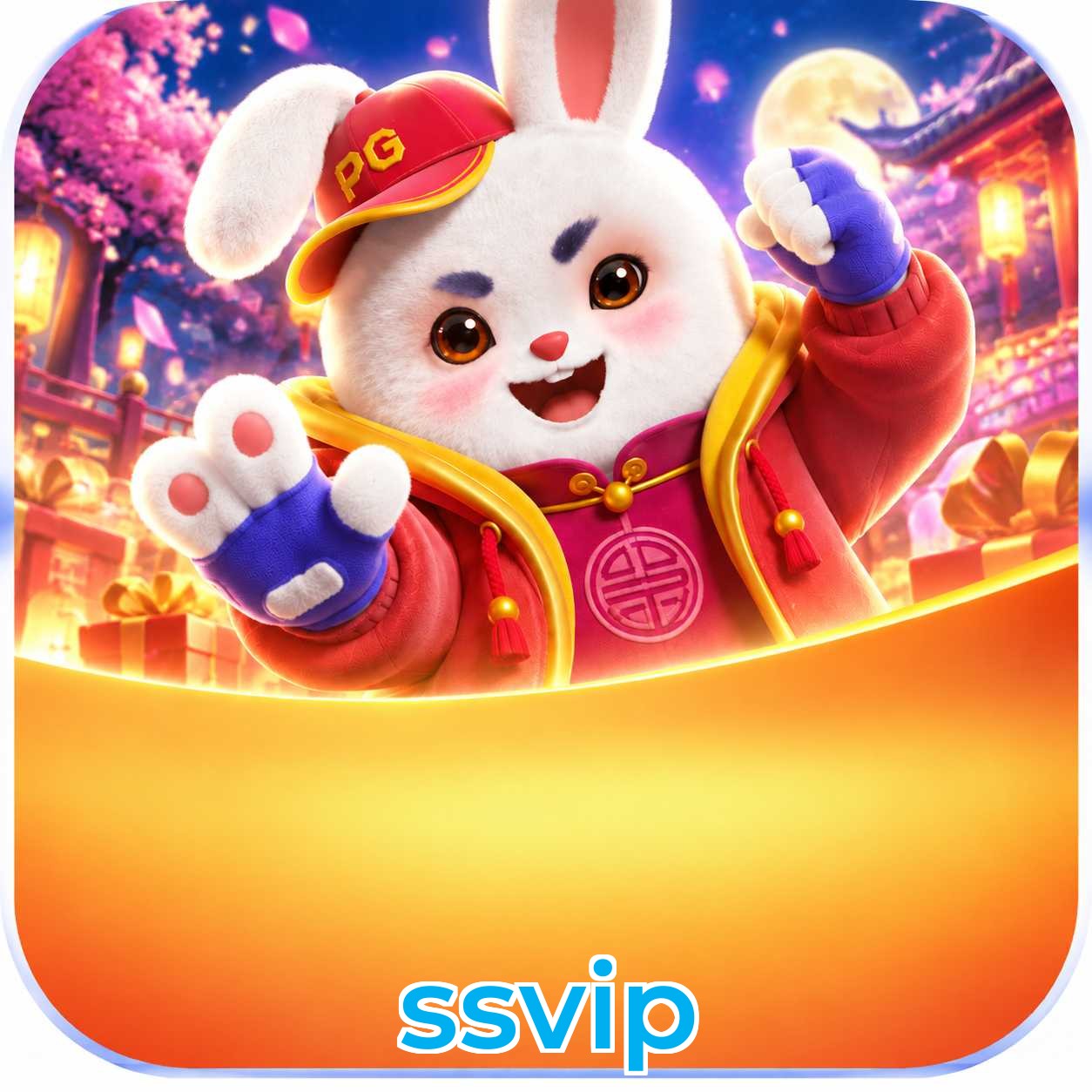 ssvip FAQ